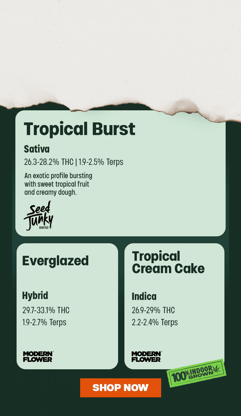 Tropical Burst & Modern Flower Strains - Cannabis deal image